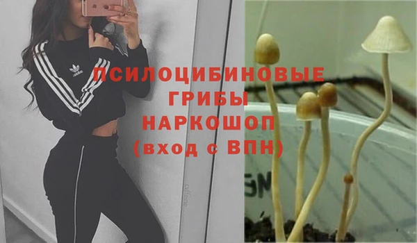 каннабис Арсеньев